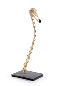 Image description is not available for 2003.5.1